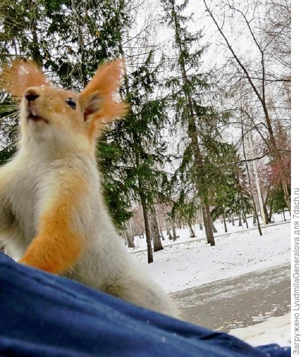 И любопытные жутко! Проверят и сумку, и карманы, не жадничаю ли я?
