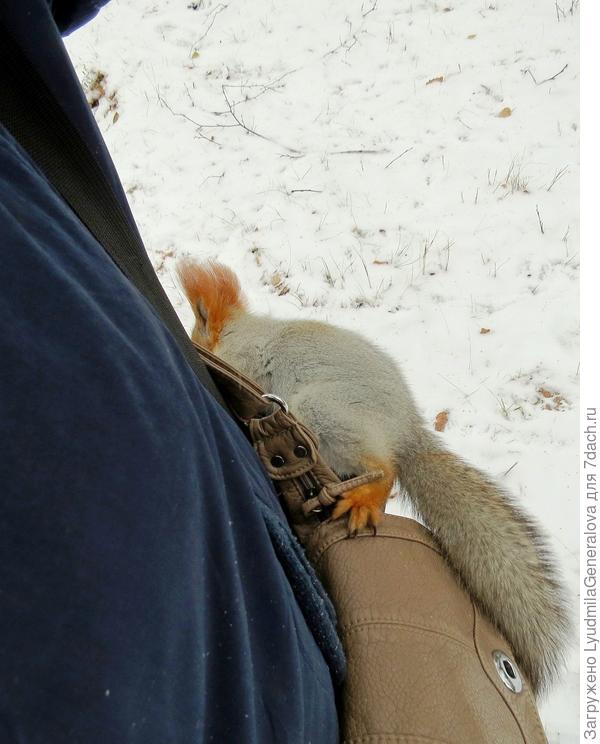 Словам моим не верят, наверное вышла из доверия. Но бегают по мне , как по дереву!!