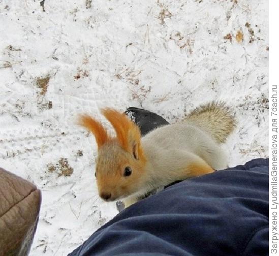 Подбегают и с разбегу на меня, я и фот-т не успеваю расчехлить. И на фот-те сидят. Кто бы сфоткал?!