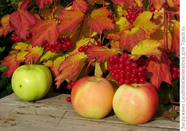 Пусть всё у тебя будет о, кей! :kiss: