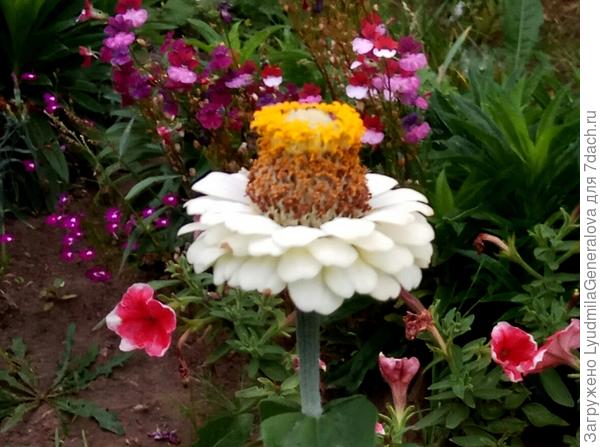 &amp;quot;Модная шляпка&amp;quot;