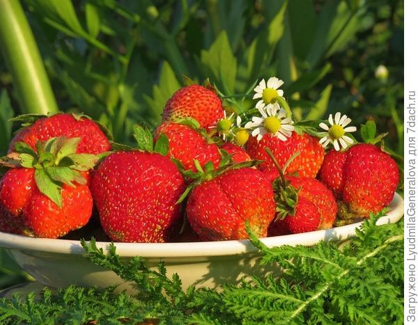 Желаю всем удачи и новых интересных рецептов!