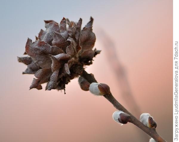 Как тут не скажешь: &amp;quot;нет худа без добра&amp;quot; (фото из Интернета)