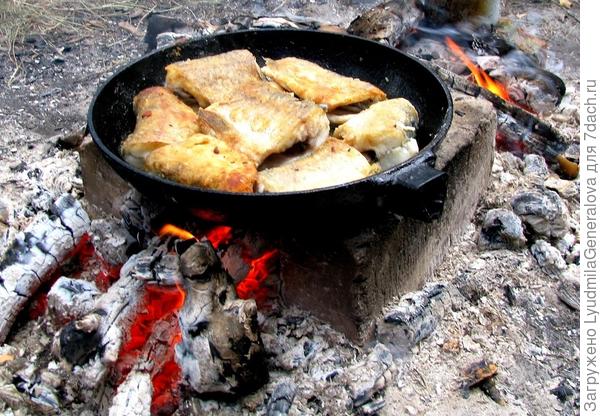А на костре с дымком... На берегу одной сковородой - только &quot;червячка заморить&quot;.