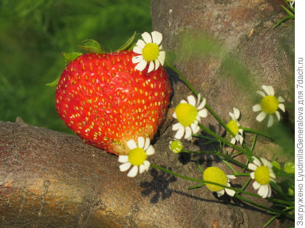 Спасибо большое, Ирина Анатольевна. Всего вам хорошего!