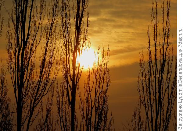 31 декабря 2018 г. Новогодний вечер. Минус 20. Красивый золотой закат.