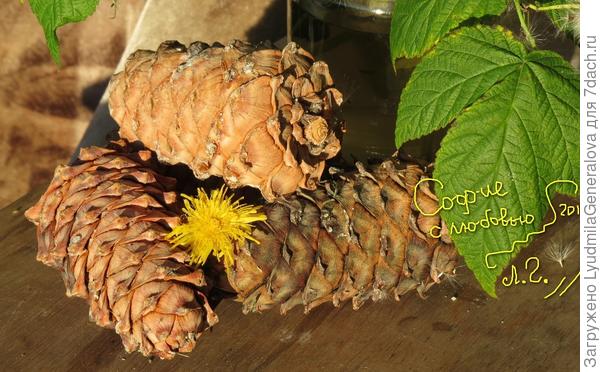 Это фото в тот же день. Только на вечернем солнышке.