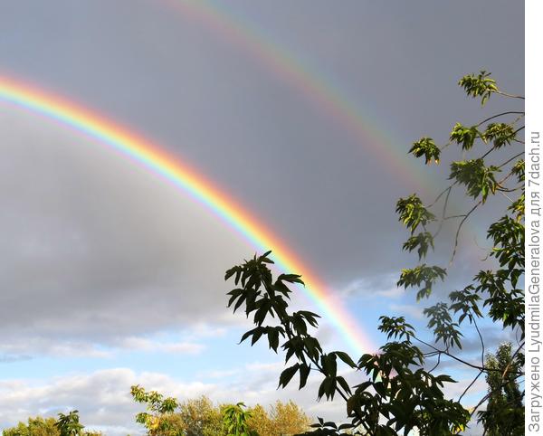 И чтобы ты чаще видела радугу. Это фото тоже планировалось вставить в топик, но... оказалось для дальневосточной семидачницы.