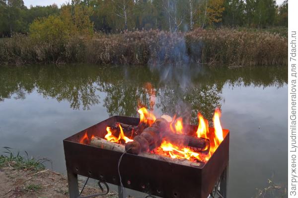 Сторож в парке готовил себе ужин. На проволоку нанизал резанный картофель!