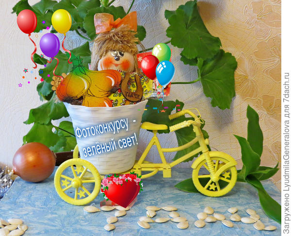 ФОТОКОНКУРСУ  -  ЗЕЛЁНЫЙ СВЕТ ! ! !