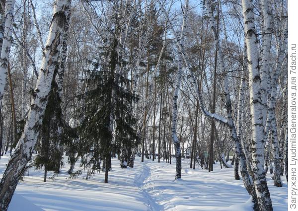 И кто только по  этим тропинкам ходит? Но если они есть, значит кто-то их протаптывает!