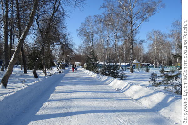 В тихом парке так бело, так бело-о-о-о-