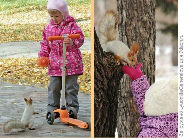Почти всех деток белки любят. Но бывают случаи, когда ни в какую не подходят.