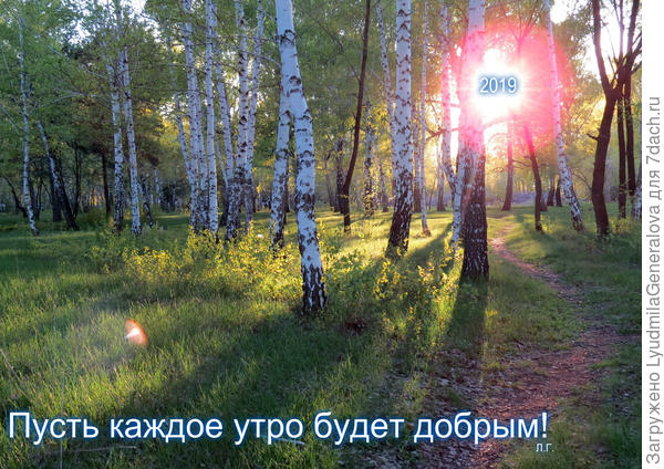 Уважаемые семидачники, желаю, чтобы каждое утро было добрым!