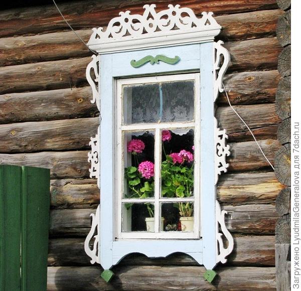 Вот эта фотография. Ваши герани, Рушана, неожиданно разбередили душу