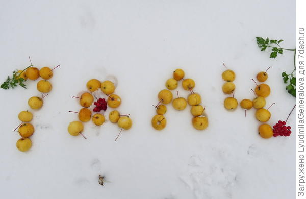 Яблочное настроение