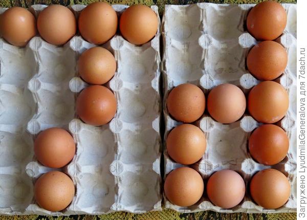 Фантазия наша не знает границ: теперь логотип из куриных яиц