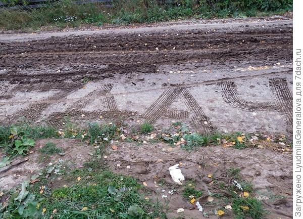 И памятное фото с семидачным логотипом.