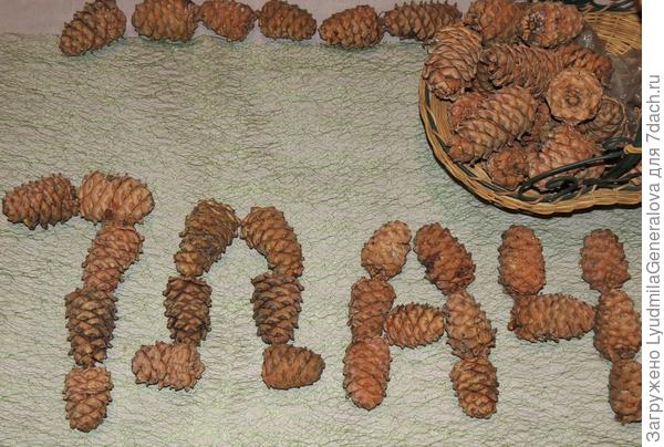 Семидачью:kiss::kiss::kiss: