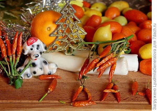 До декабря долежали тестируемые томаты