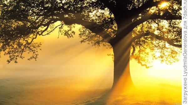 Пусть в твоей жизни будет больше света и радости!:)