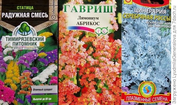 Сухоцветы - для творчества.