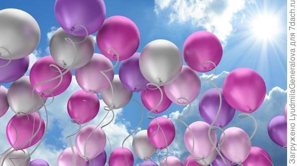 Салют в вашу честь, дорогие цветочницы!