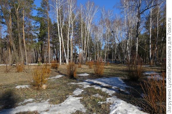 Последний снежок