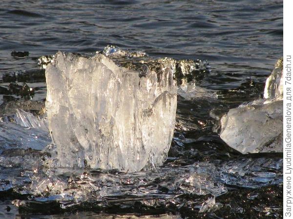 А вот и хрустальная нимфея из сада самой Снежной королевы