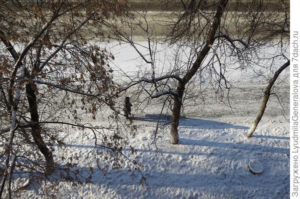 Утром глянула в окно... Зима вернулась. На градуснике -11! И это после +19!!! тремя днями раньше.