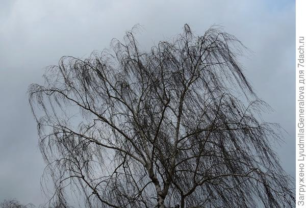 Ветерок приличный...