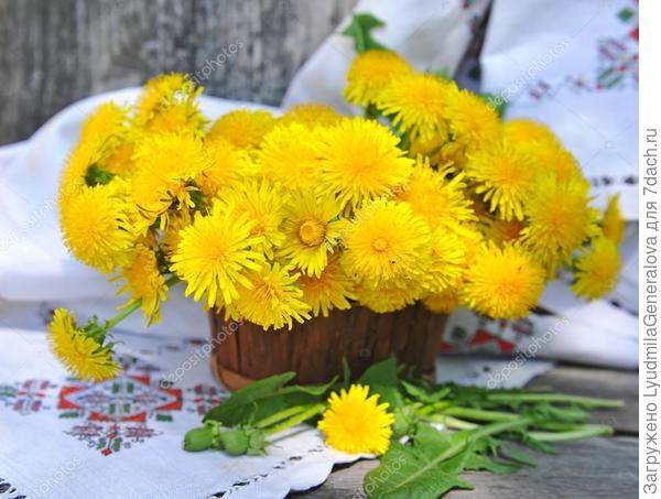 Солнечного настроения всегда, в любую погоду!