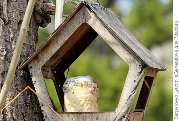 Случайно увидела в парке.