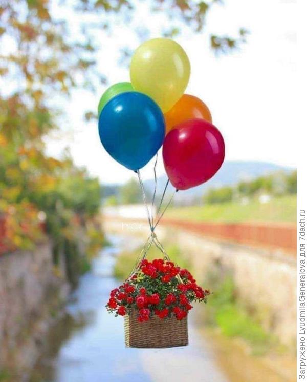 Счастья вам и первомайского настроения круглый год!