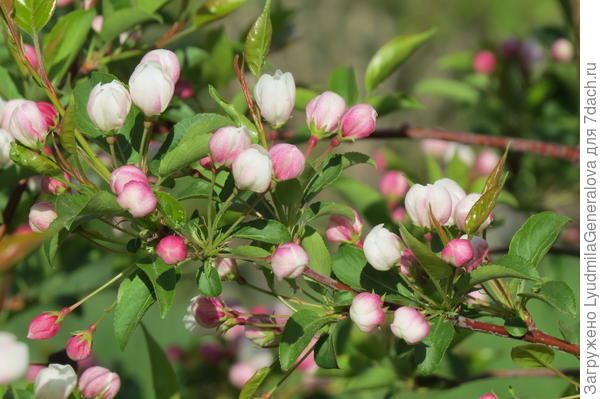 Успехов вам во всех начинаниях!