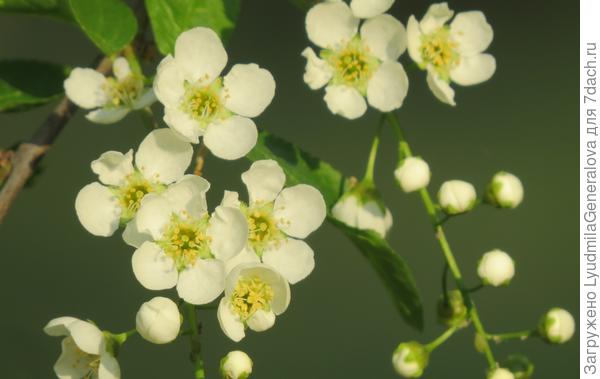 Успехов вам во всех начинаниях!