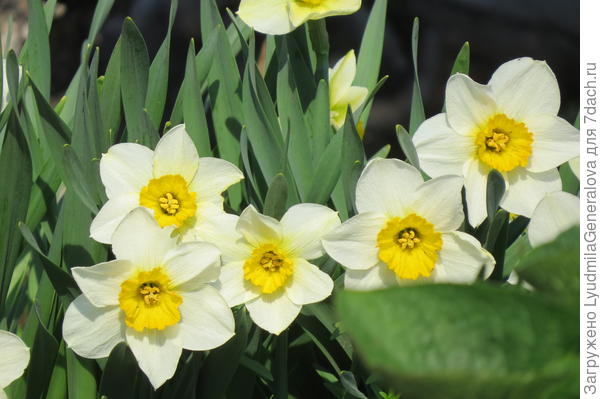 Немного припозднилась с поздравлением, но от души!