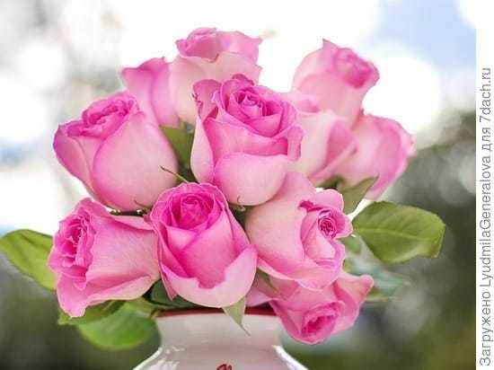 Победителям конкурса - у р а !