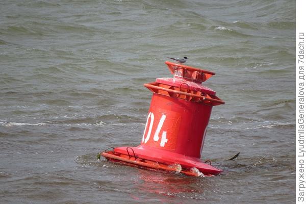 Вот она и сказала: &amp;quot;Покачайтесь на волнах славы, передохните и... вперёд к новым конкурсам&amp;quot;! А тем, кому приза не досталось - тем более!!:kiss: