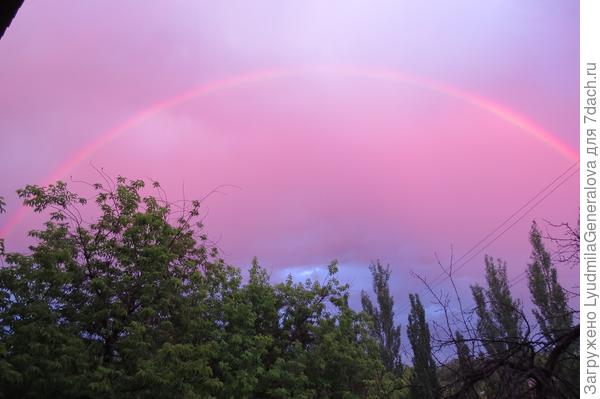 Радуга -шикарная, яркая. Но в городе -то деревья, то дома мешают запечатлеть эту божественную красоту