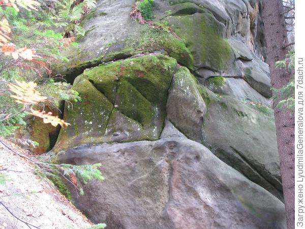 Меня тоже удивляют &amp;quot;художества&amp;quot; на скалах и камнях. Вот как? и чем? можно было высечь на скале эти знаки? И таких  &amp;quot;автографов&amp;quot; на Земле.... ого-го.