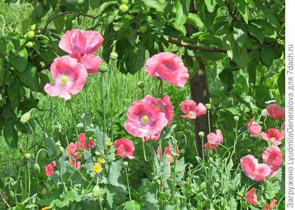 Ты такая лёгкая в общении, что не смотря на неизбежность перемен во всём и везде, желаю тебе сохранить в себе эту лёгкость и доброжелательность.