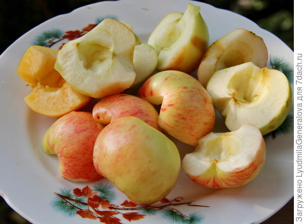 Через тёрку плюс яйцо сахарок по вкусу и пару ложек муки. И всё!