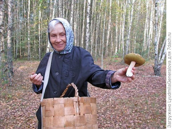 Хочется верить, что время грибной охоты подобно рыбалке и не входит в жизненный стаж