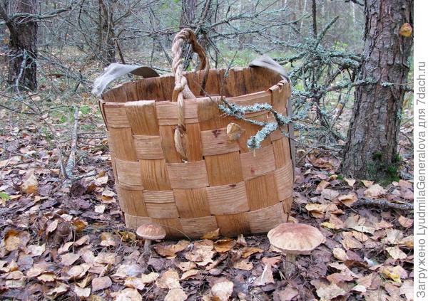 Возможно,  это фото где-нибудь  появлялось в моих комментариях, но уж очень удобная и нужная вещь для грибников. Компактная и вместительная.