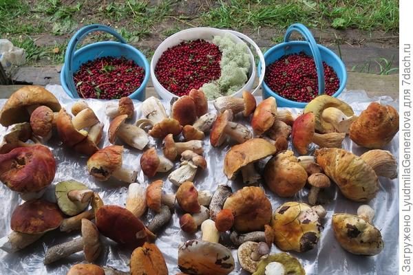 О-о-чень удачный поход!!