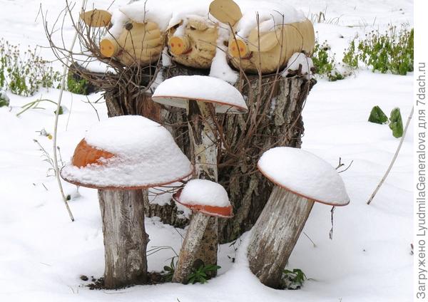 ДВОРОВИ БЭУЧИ распространён по всей России, локализуется на придомовой территории, диаметр шляпок самых разных размеров, в поливах не нуждается, только в покраске....