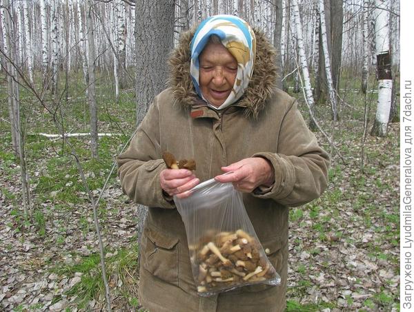 На восьмом десятке лет бабушке узнала об этих ранних грибах.
