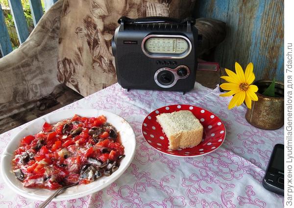 Мой аскетичный обед на тот момент. Здесь видны результаты этой тихой охоты. Салат из свежих помидоров с отварными шляпками опят. Немного репчатого лука, ложка деревенской сметаны и чуток соли. Всё! Блендера нет, а то бы ещё и измельчила.