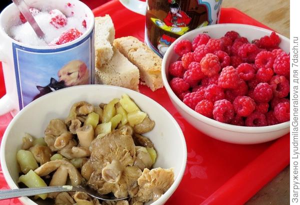 Жареная картошка с сыроежками. :kiss: И простокваша с малиной.:kiss: (йогурт отдыхает!) Малина, конечно, лесная.:kiss: